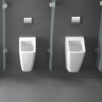 Pisoar Villeroy & Boch, Architectura, alb alpin 