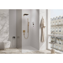 Brat de dus, Hansgrohe, E 39 cm, bronz periat